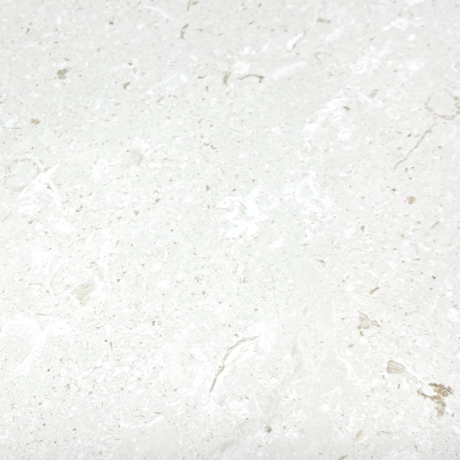 Fossil Stone 12x24 Tumbled Tile Patara Stone