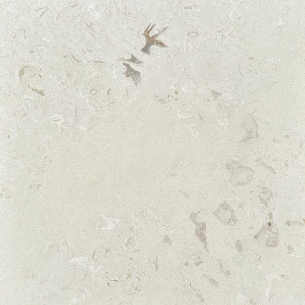 Fossil Stone 24x24 Tumbled - Patara Stone